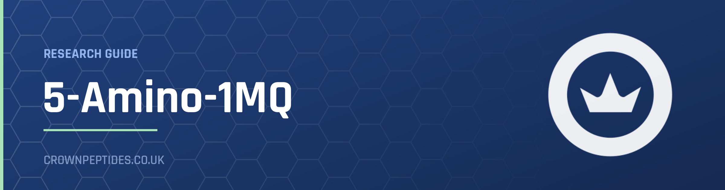 5-Amino-1MQ research guide