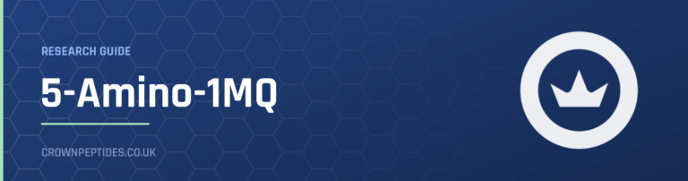 5-Amino-1MQ research guide