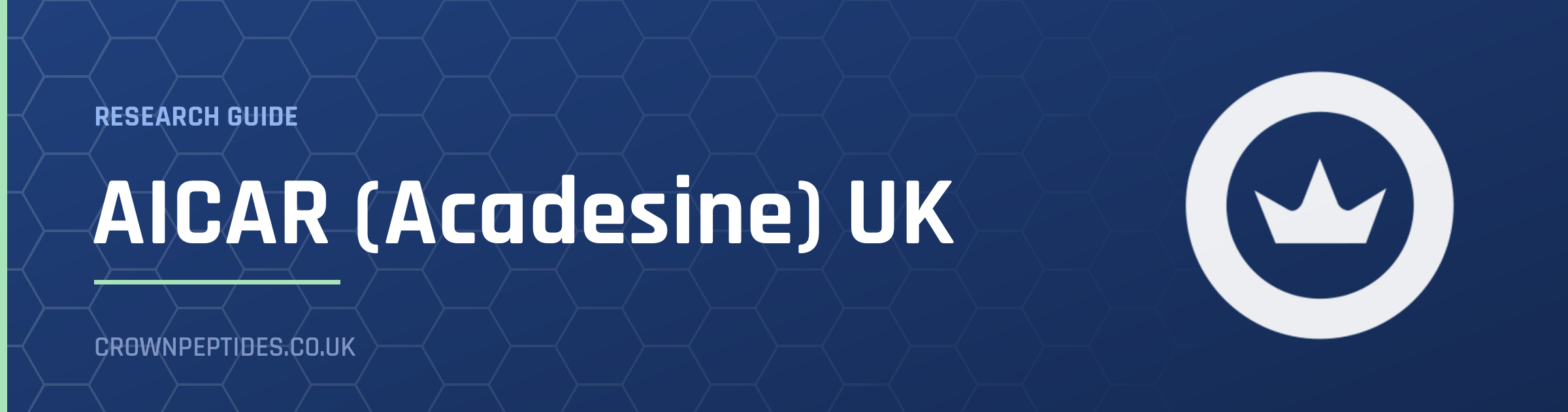 AICAR (Acadesine) UK research guide