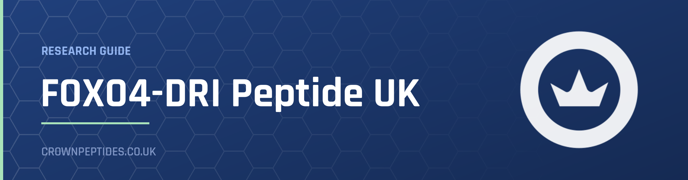 FOXO4-DRI Peptide UK research guide