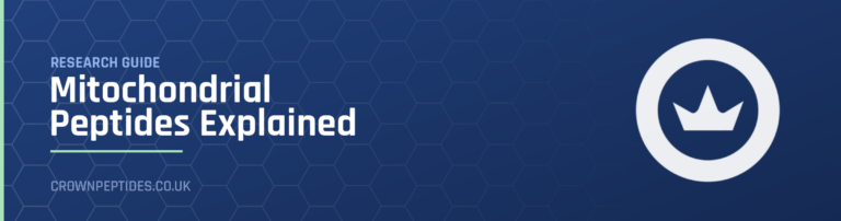 Mitochondrial Peptides Explained research guide