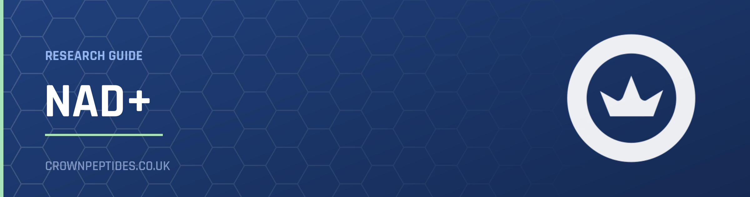NAD+ research guide