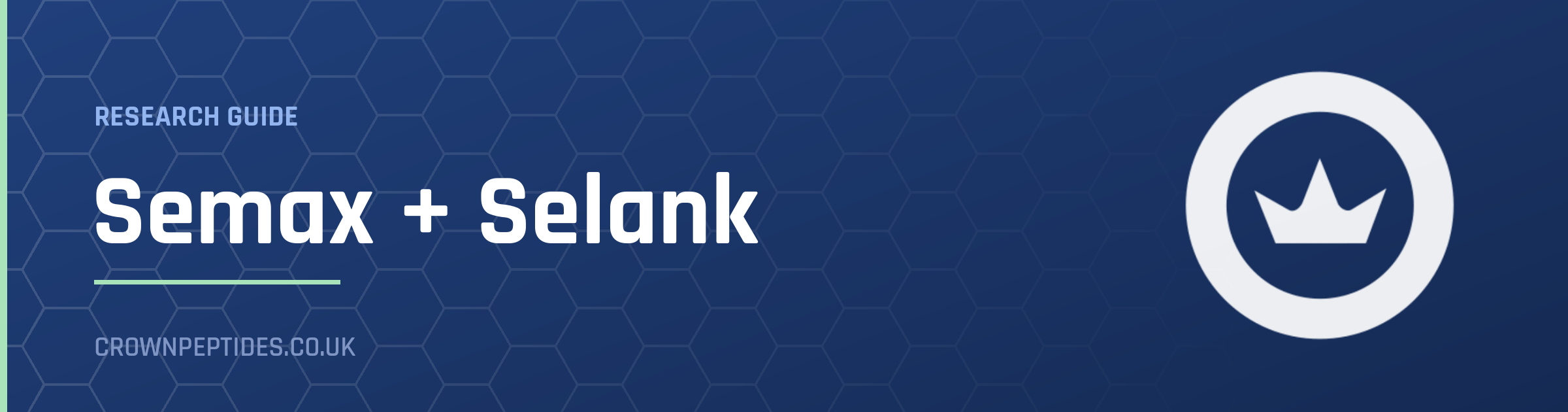 Semax + Selank research guide