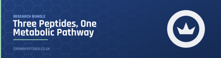 Three Peptides, One Metabolic Pathway research bundle